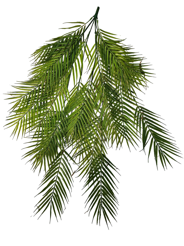 suspended foliage