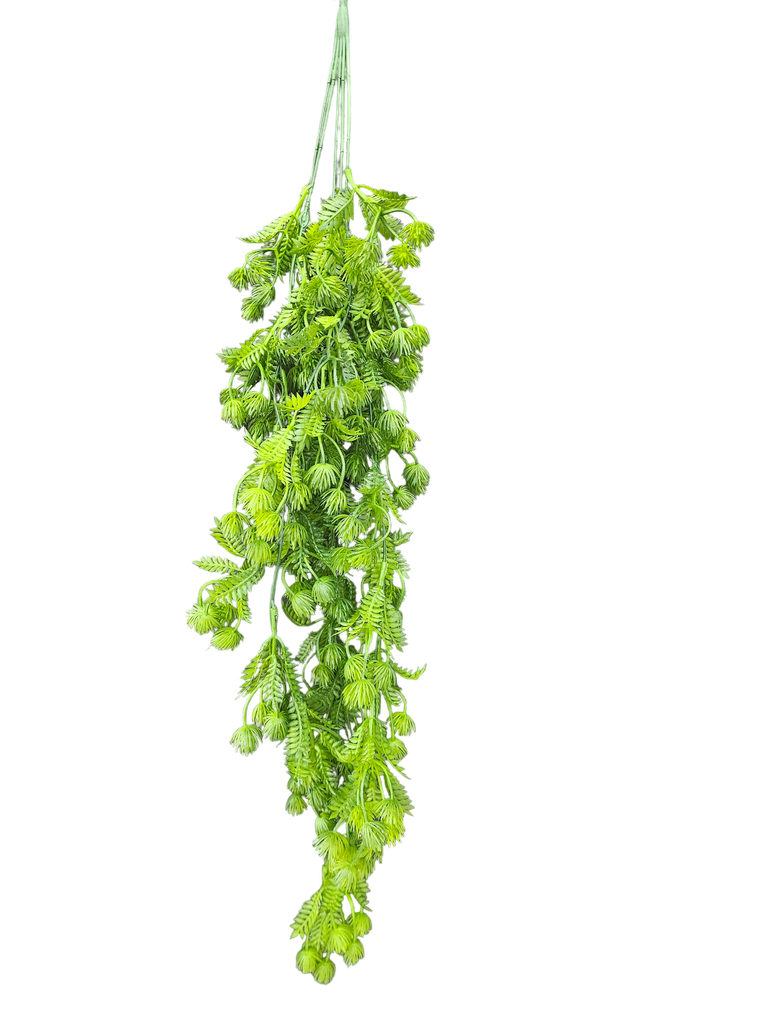 گەڵا هەڵواسراوەکان