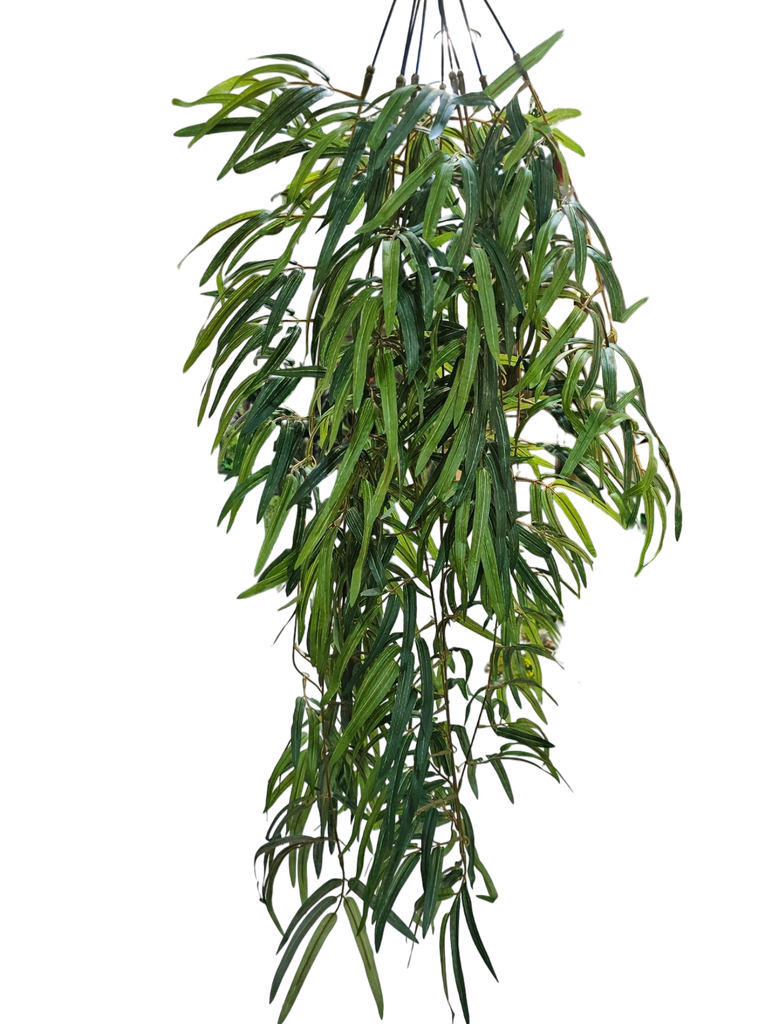 suspended foliage