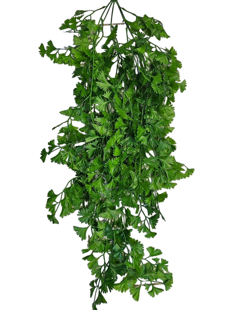 گەڵا هەڵواسراوەکان