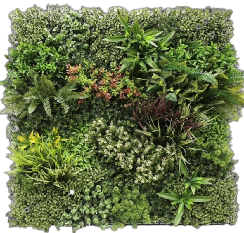 جدار أخضر خارجی