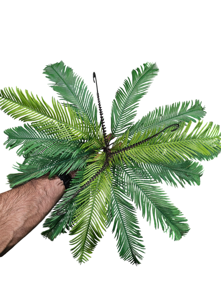 سیکاس