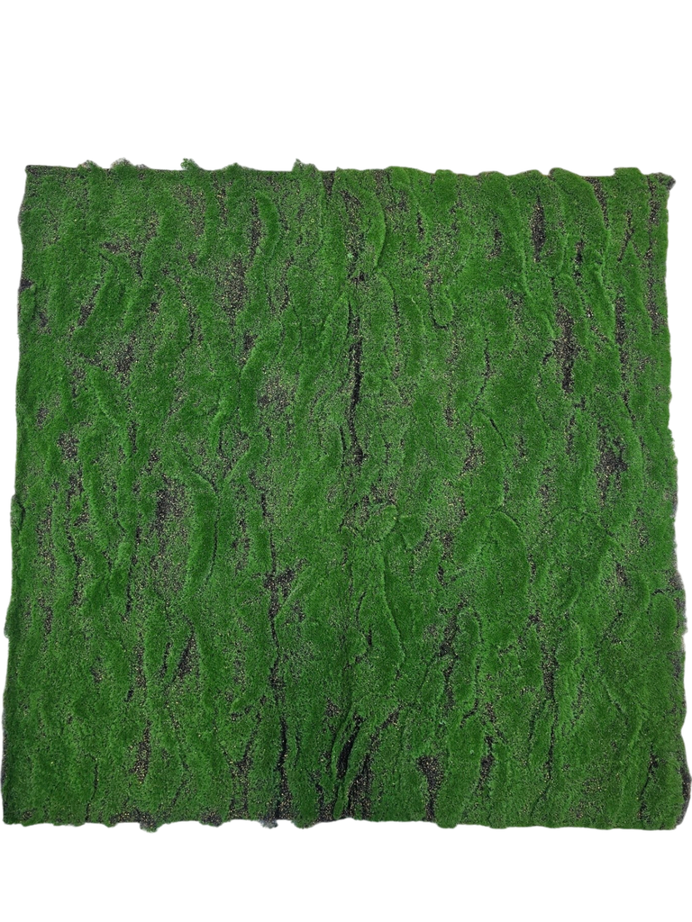 طحلب السجاد