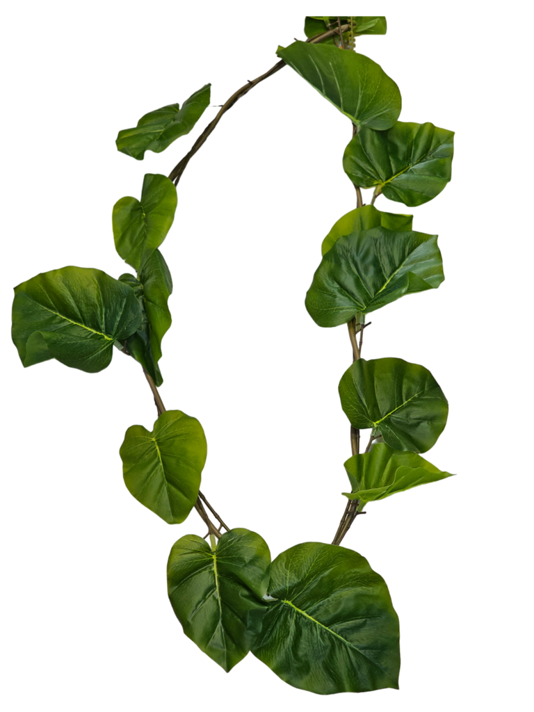 suspended large leafs