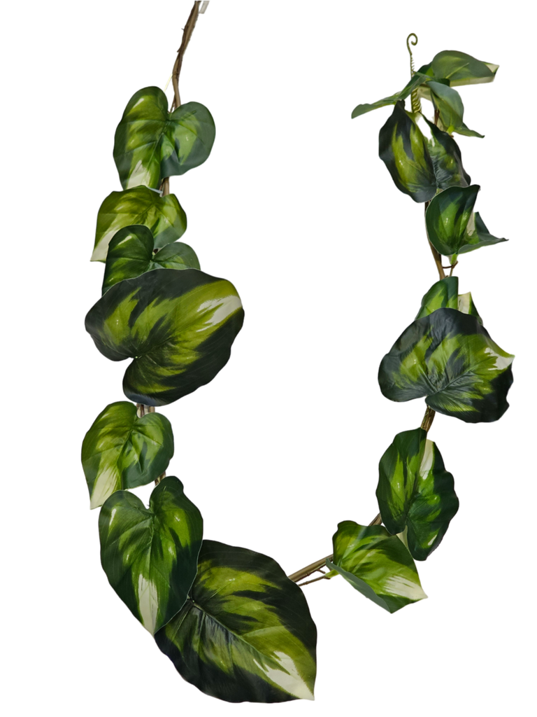 أوراق كبيرة معلقة