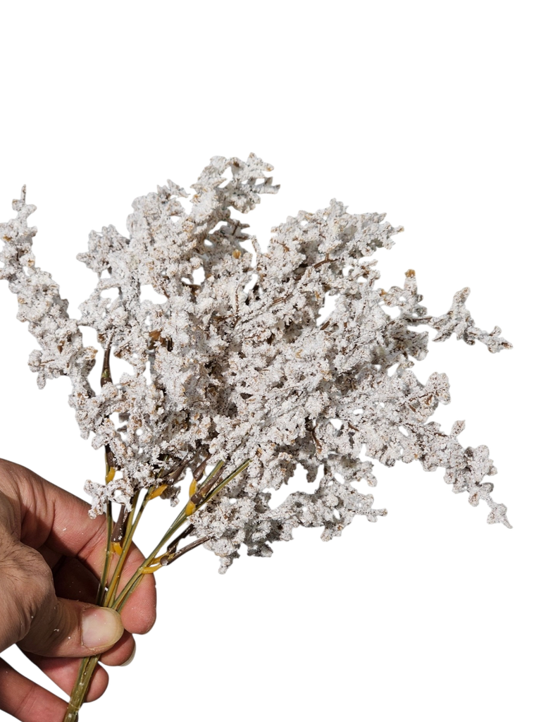 lumonium