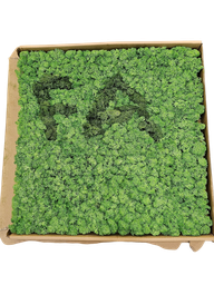 قەوزەی سروشتی