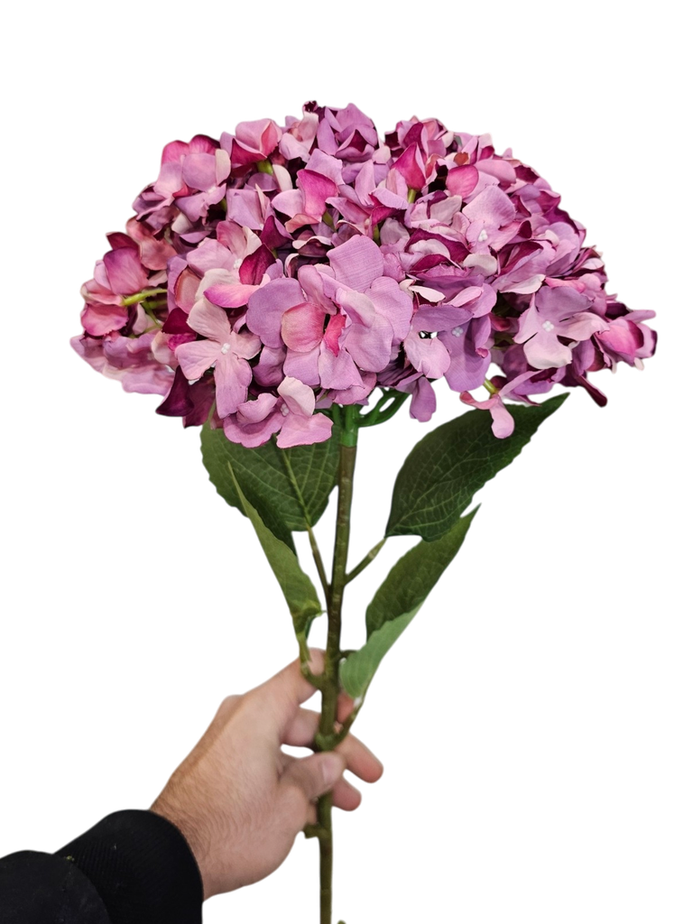 كرة الهدرانج