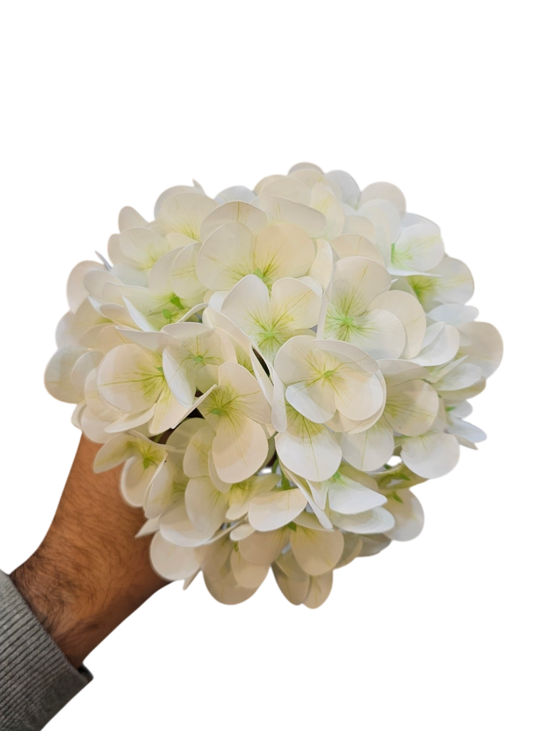 الهدرانج المفرد