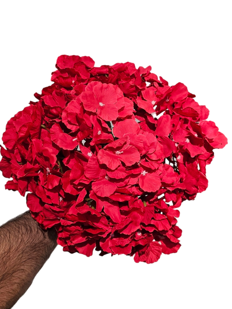 هایدرانژیای سوور