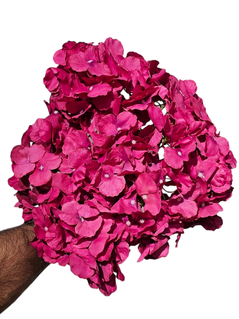 شەرابی هایدرانگیا