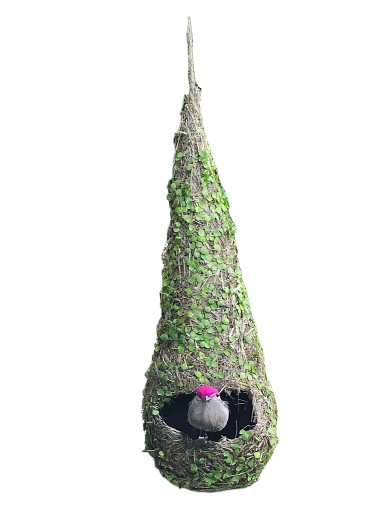 العش