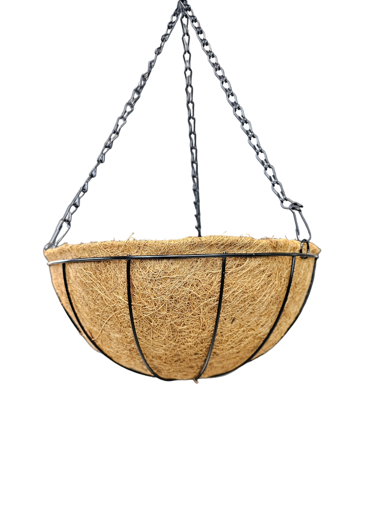 Nest