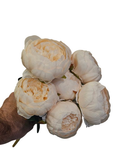 پیۆنی کرێمی