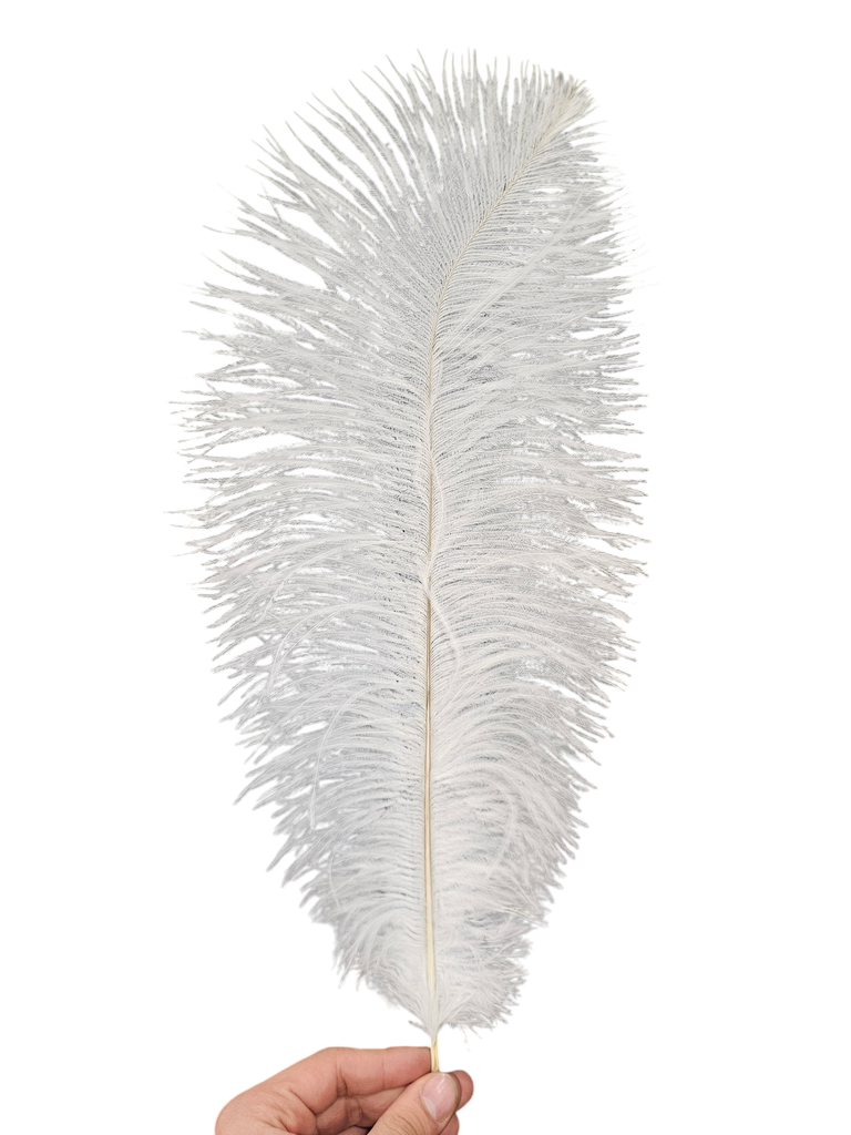 ostrich feather