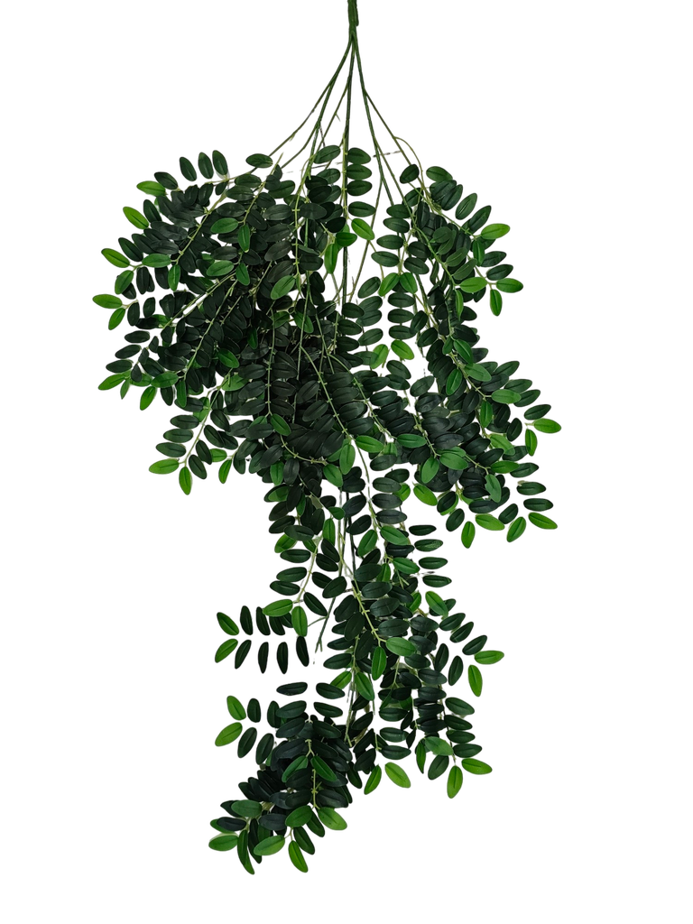 hanging leaves