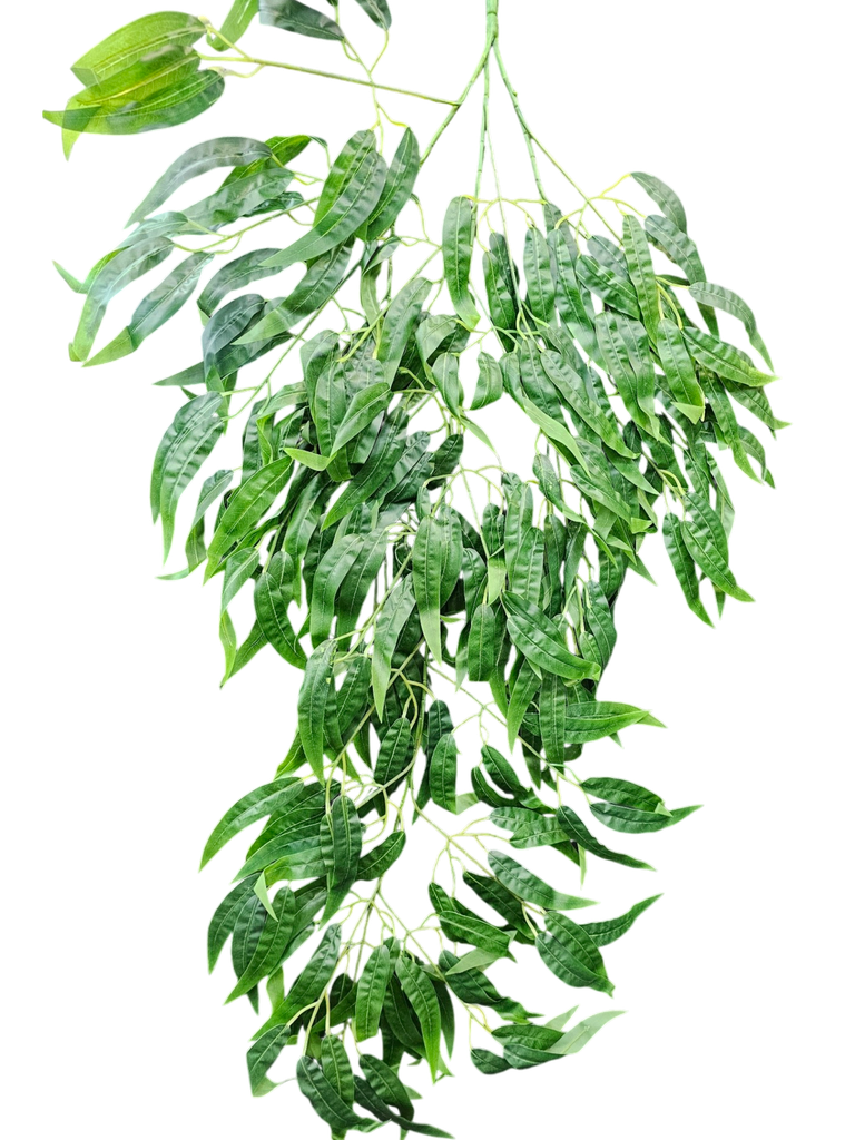 hanging leaves