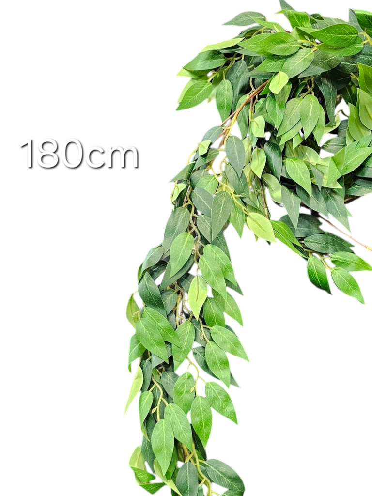 180 cm leaves