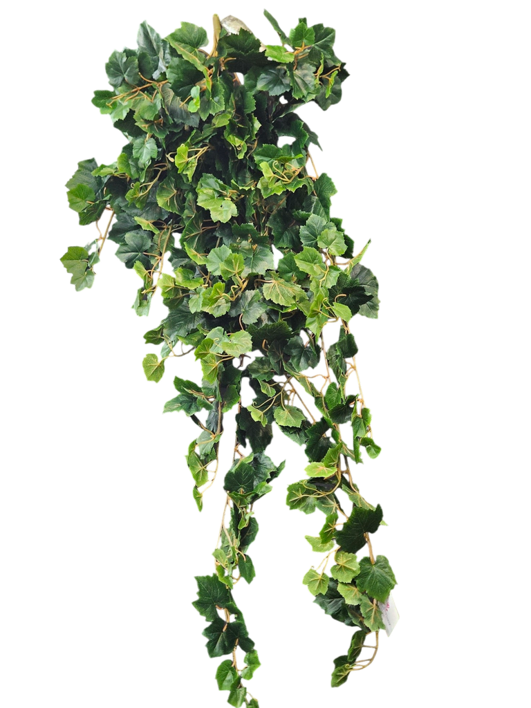Vine limbs