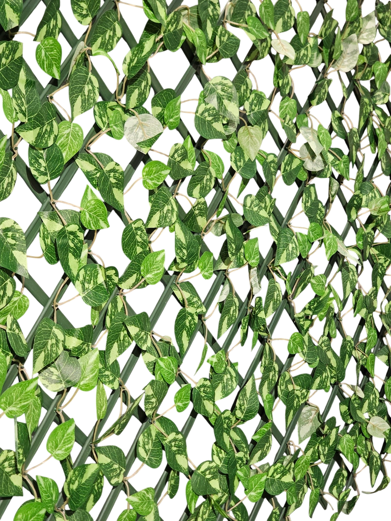 لوحة الكرمة