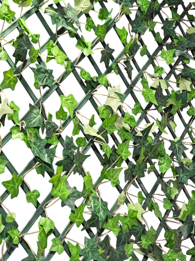 vine panel