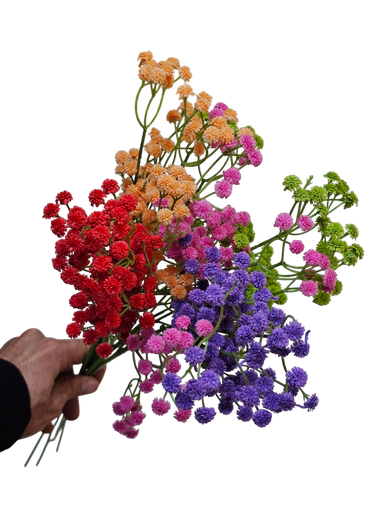 Chipsophilia mix colors