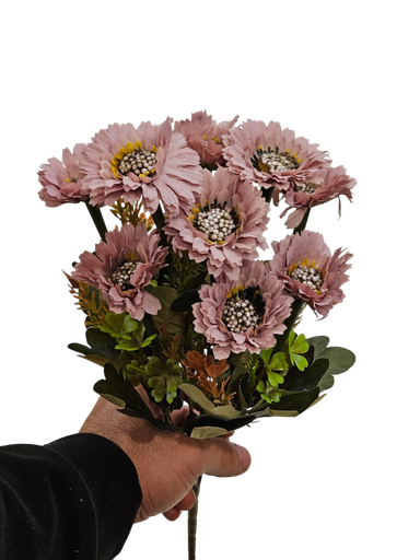 گوڵی بەیبون