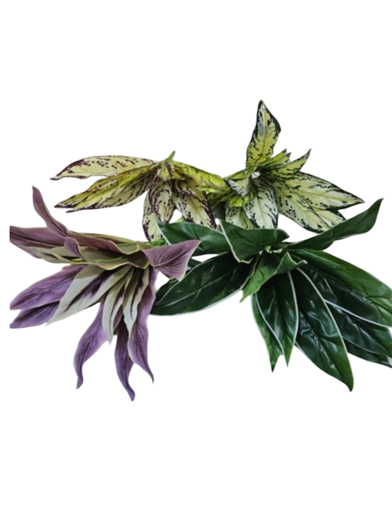 فروع الأوراق