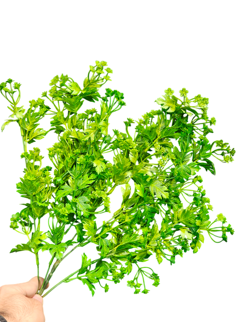foliage branches