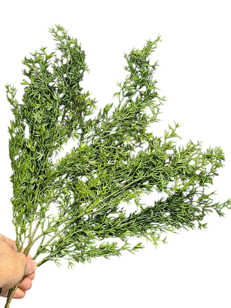 foliage branches
