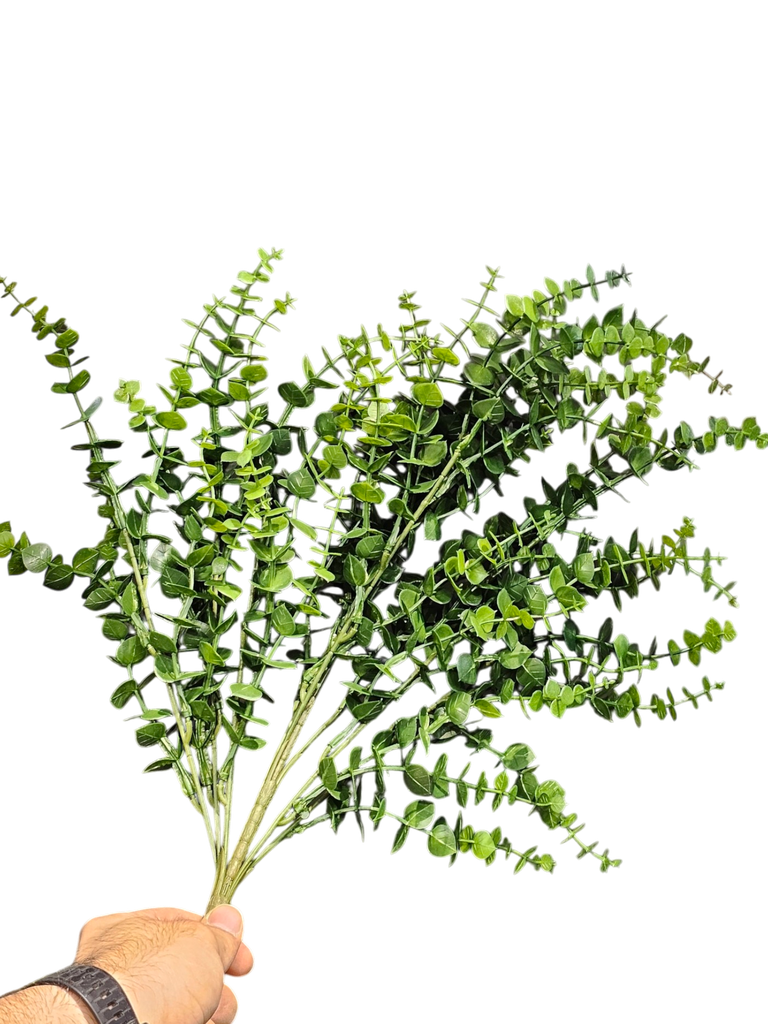 فروع الأوراق