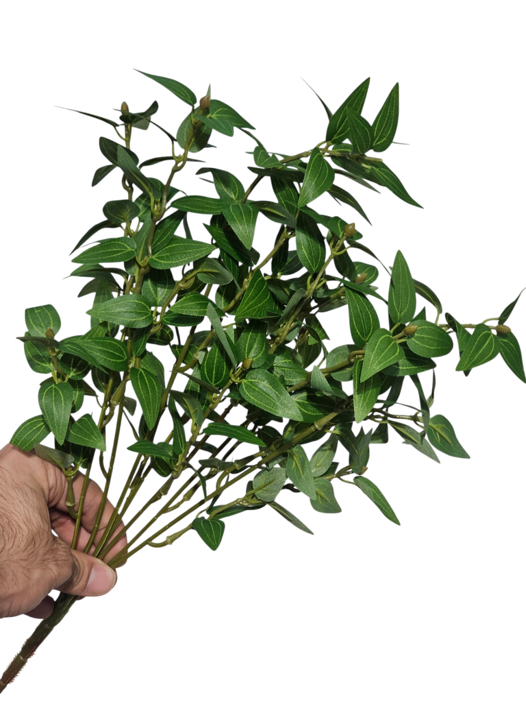 foliage branches