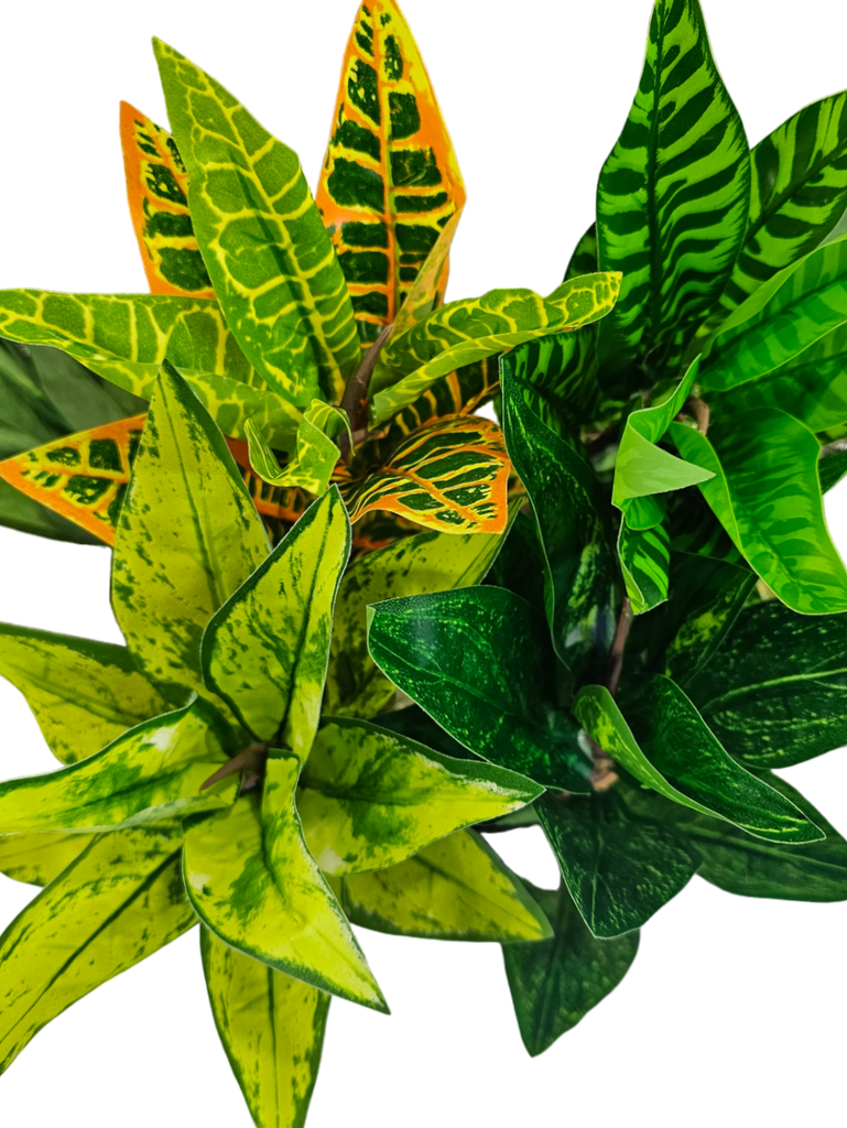 فروع الأوراق