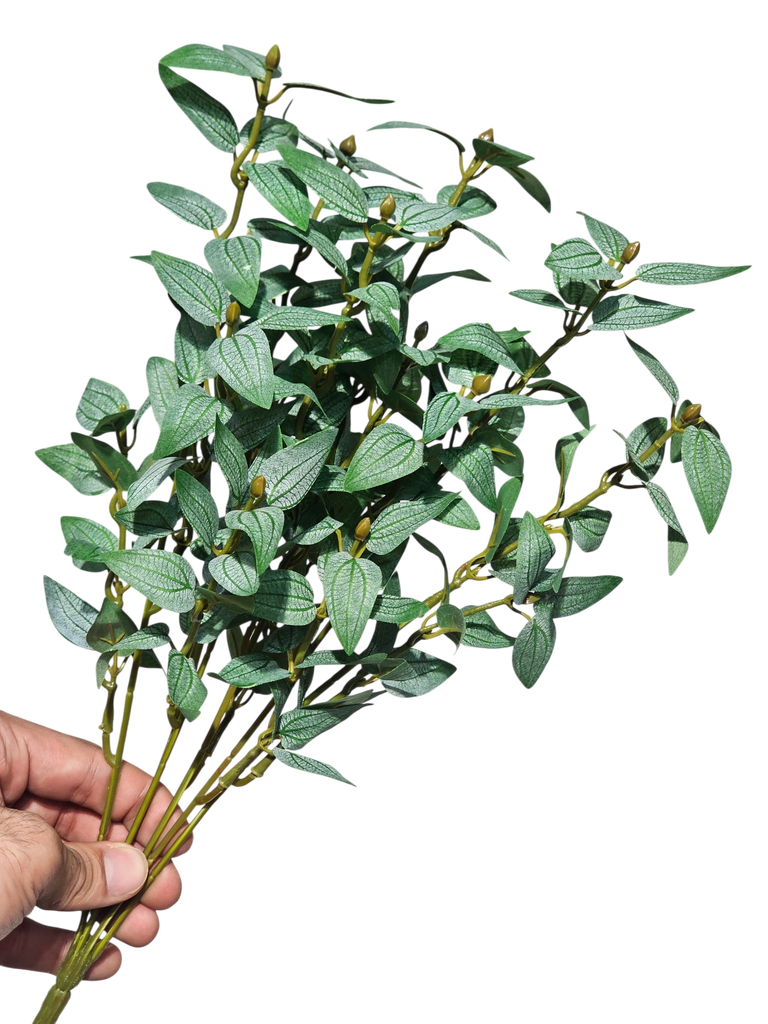 foliage branches
