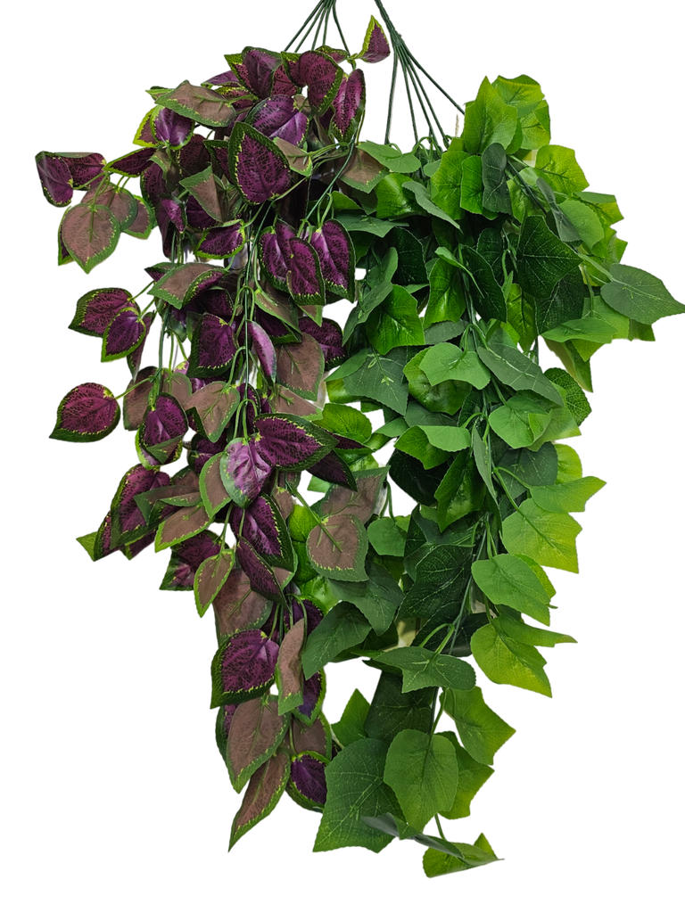 فروع الأوراق