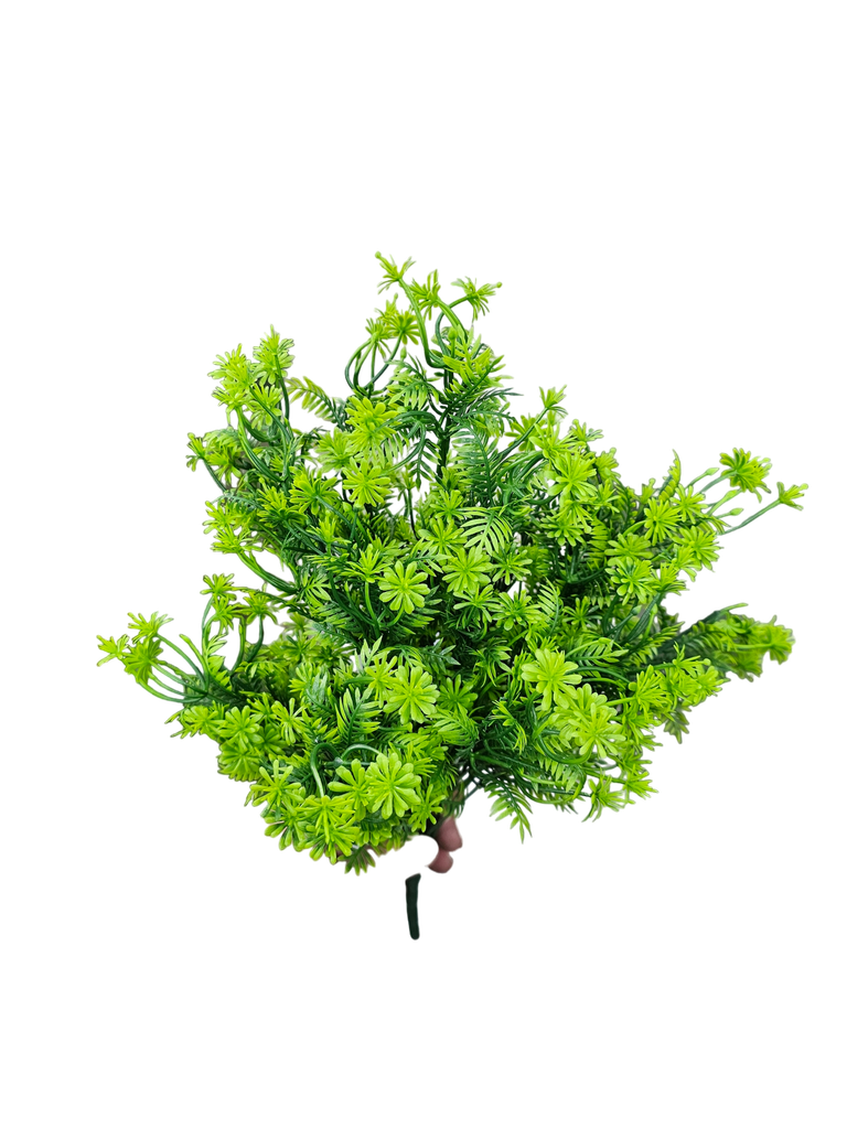 فروع الأوراق