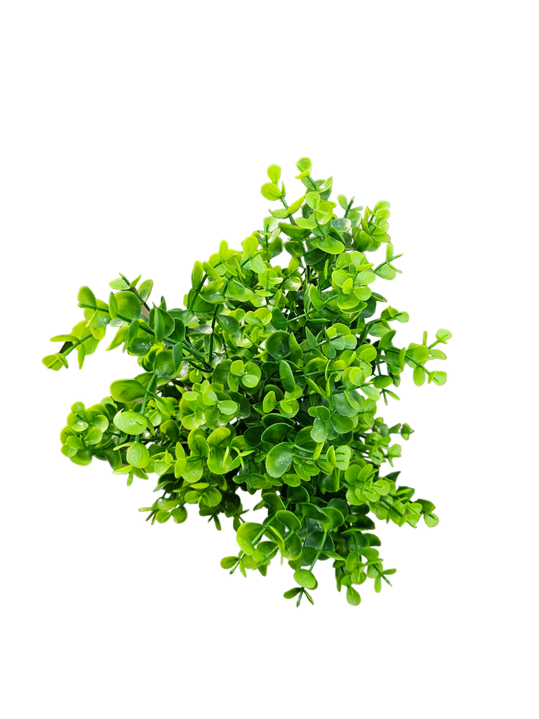 فروع الأوراق