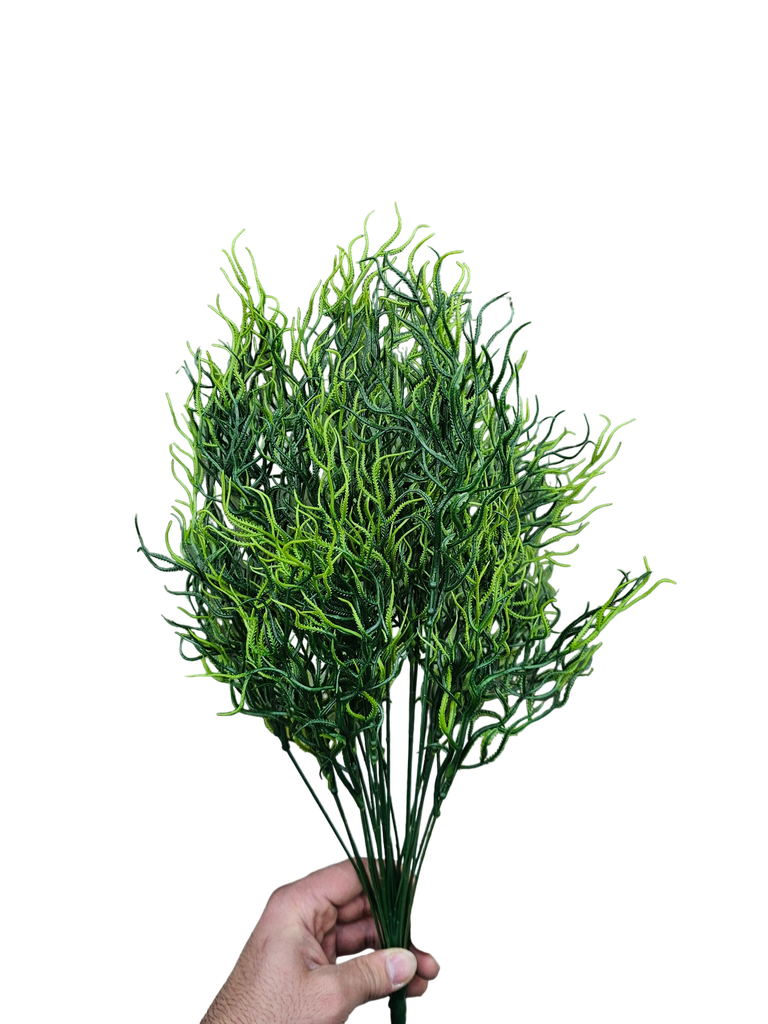 فروع الأوراق