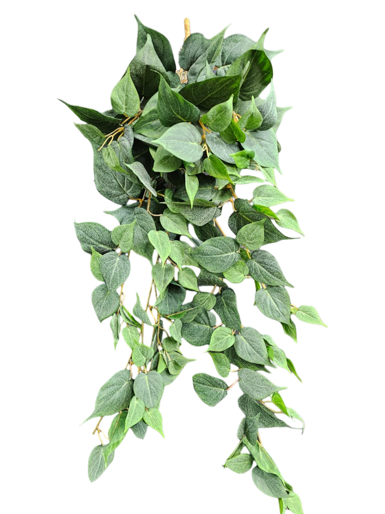 الخضرة المعلقة