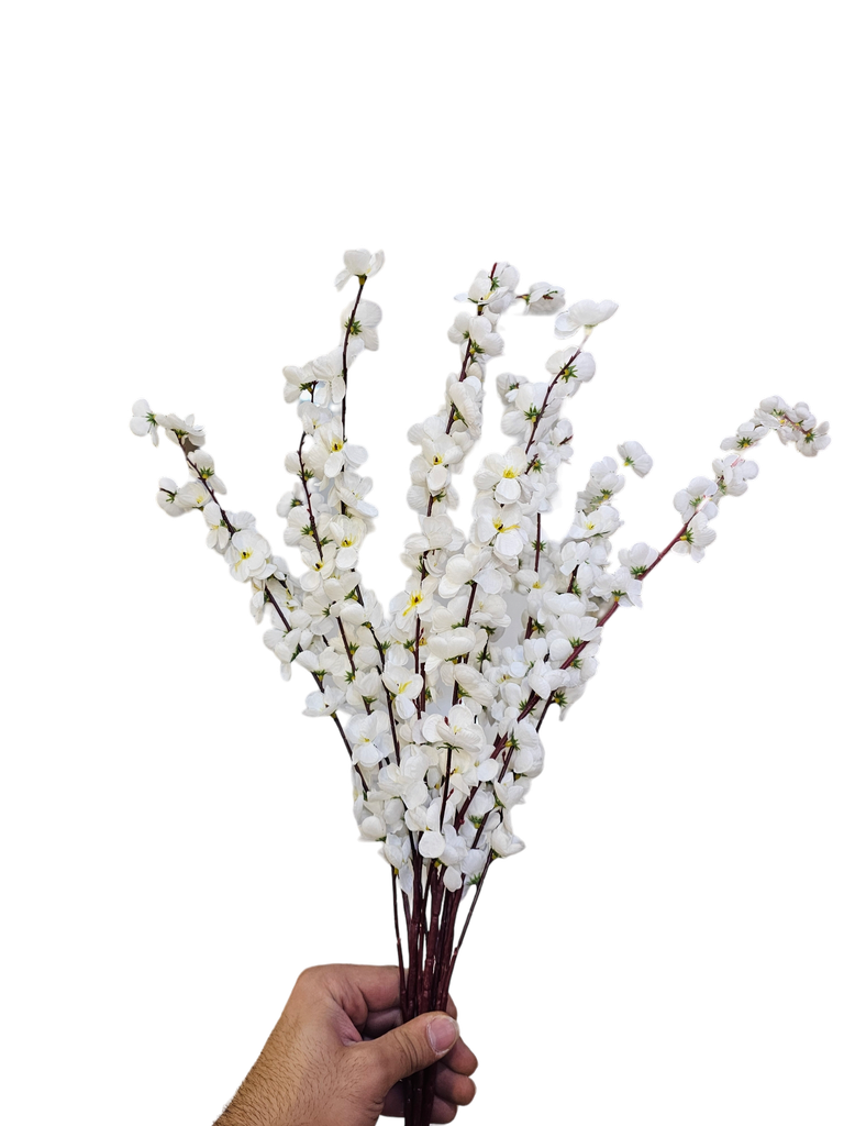 peach blossom branch