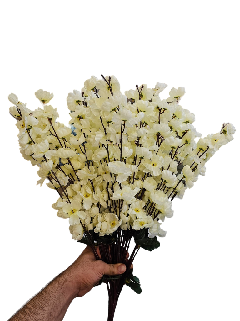 گوڵی گێلاس