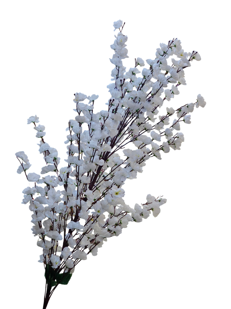 cherry flower