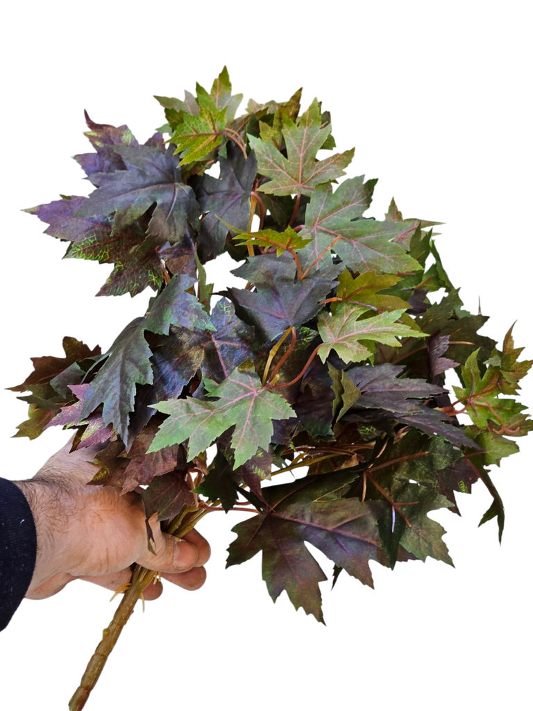 hydra leaves