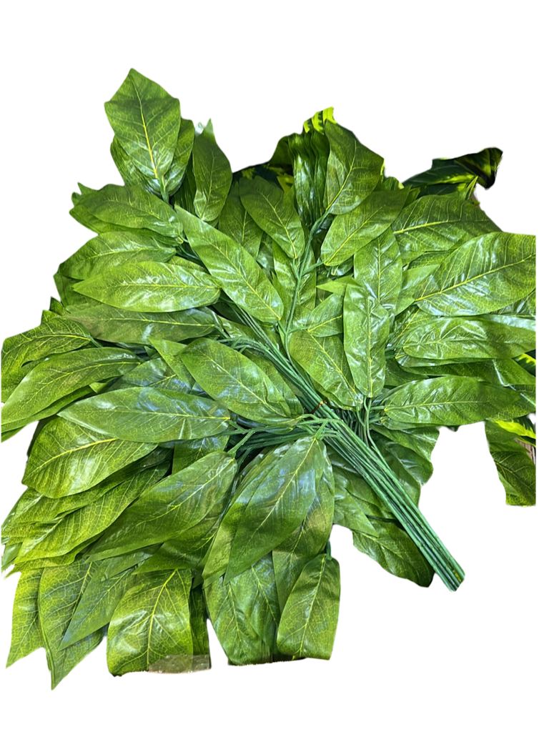 دزينة من الأوراق