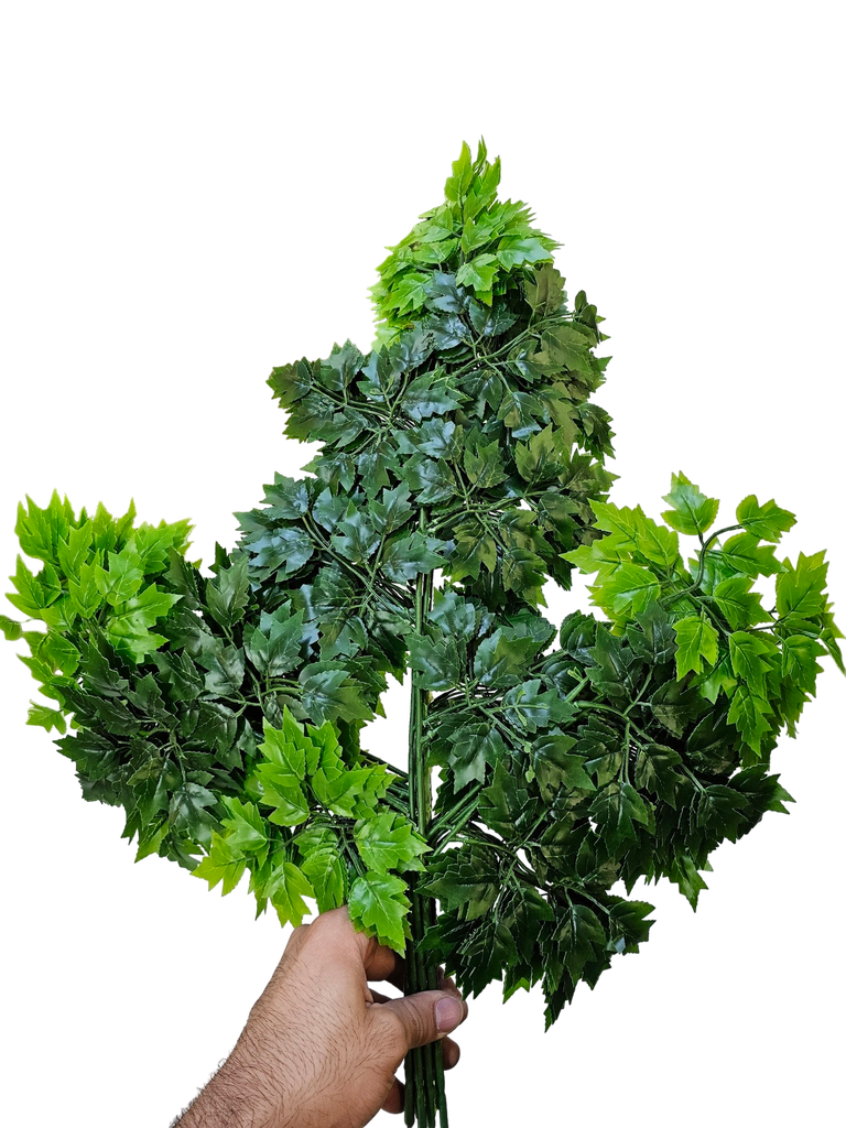 dozen of leafs