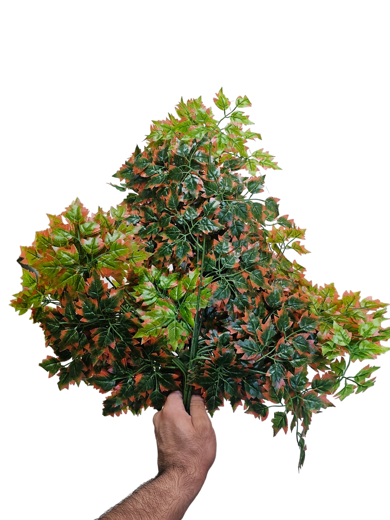 دزينة من الأوراق