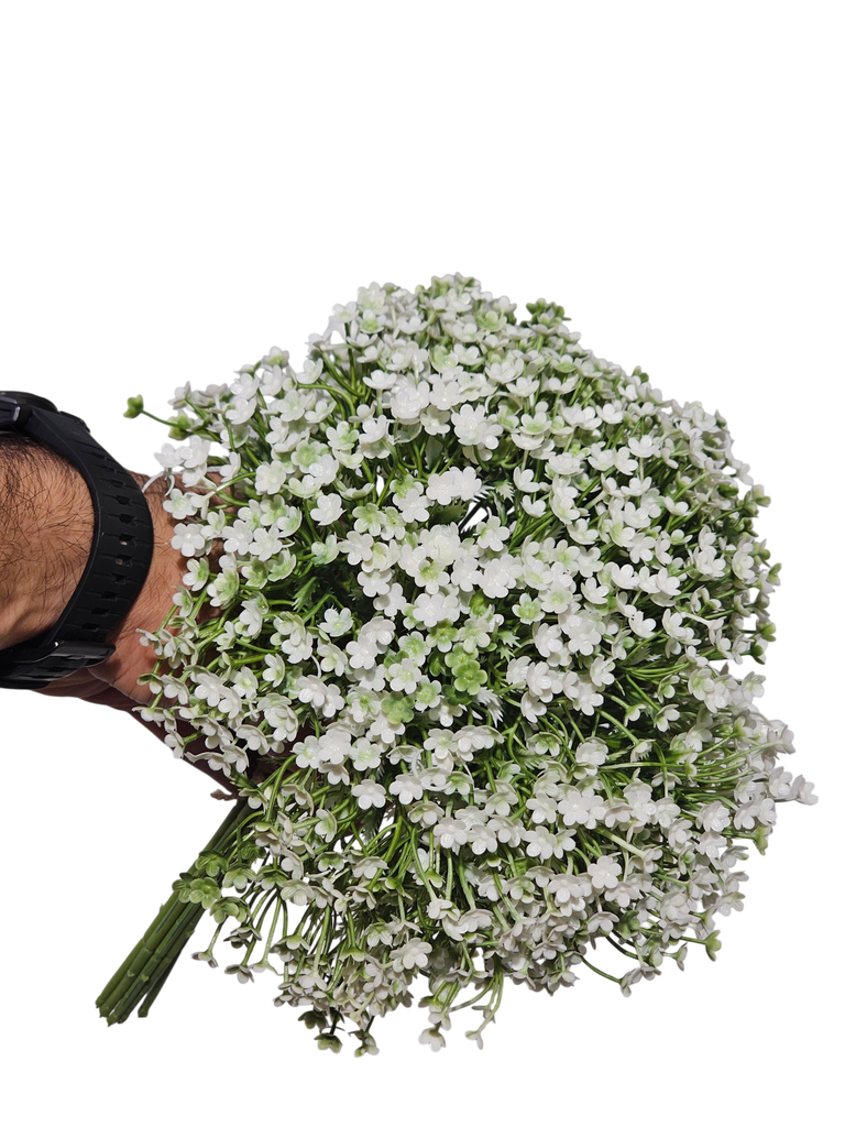 چیپسۆفیلیا