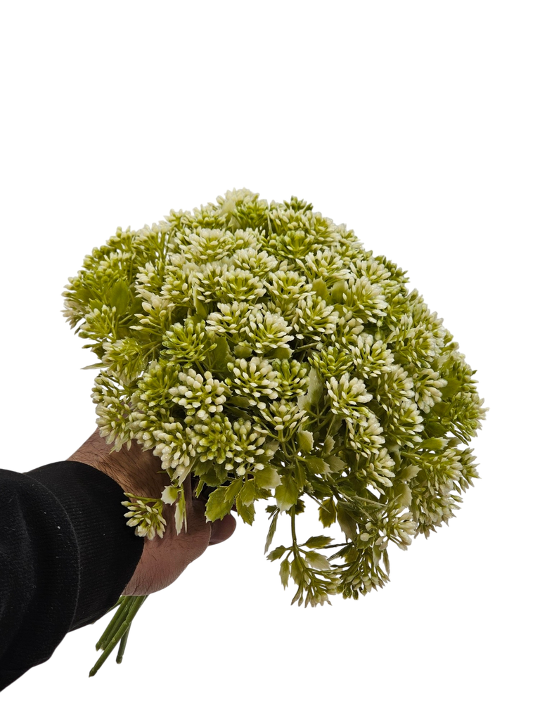 التشيبسوفيليا