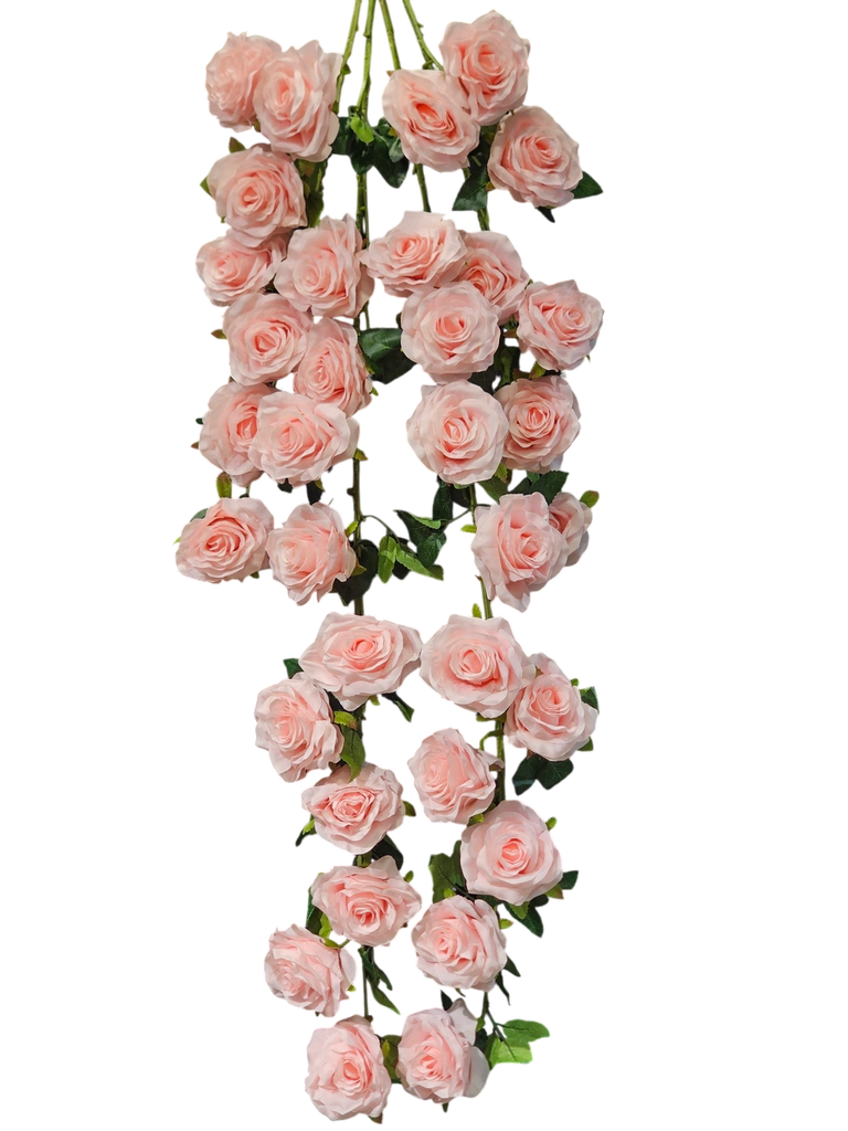 tall rose