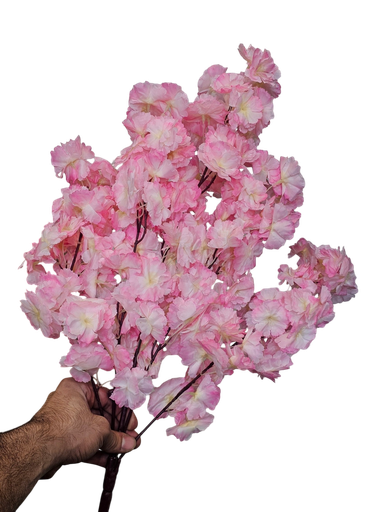 کلکی ڕێوی پەمەیی